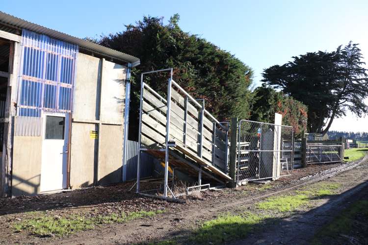 19 Lake Road Longbush_14