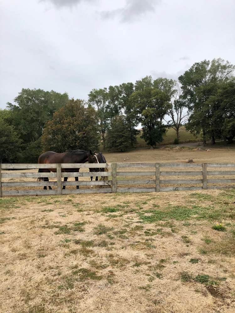 100 Hikurangi Road Otorohanga_5