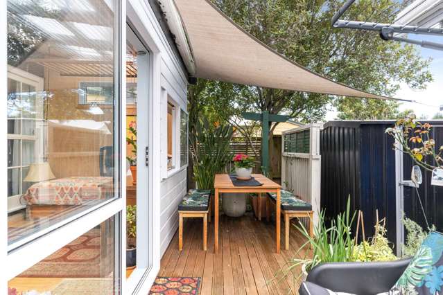 209 Williamson Street Thames_2