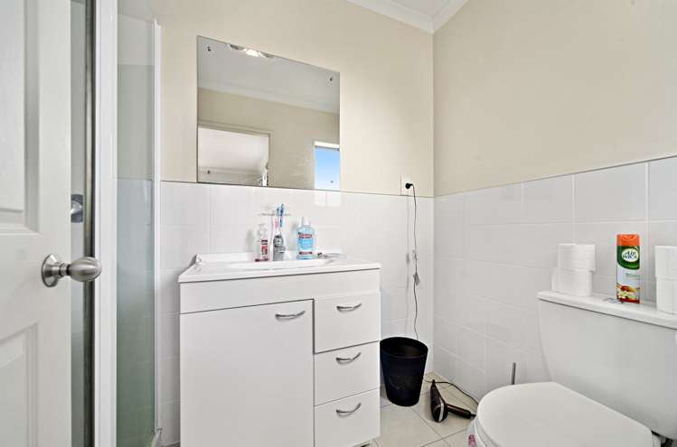 19 Mandival Avenue Flat Bush_17