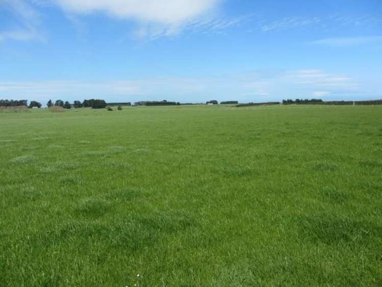 520 Waipango Ermedale Road Riverton & Surrounds_5