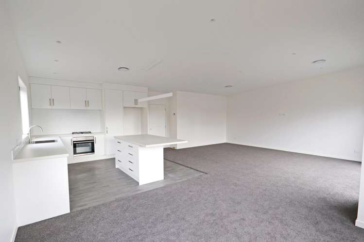 67 Robertson Street Richmond_6