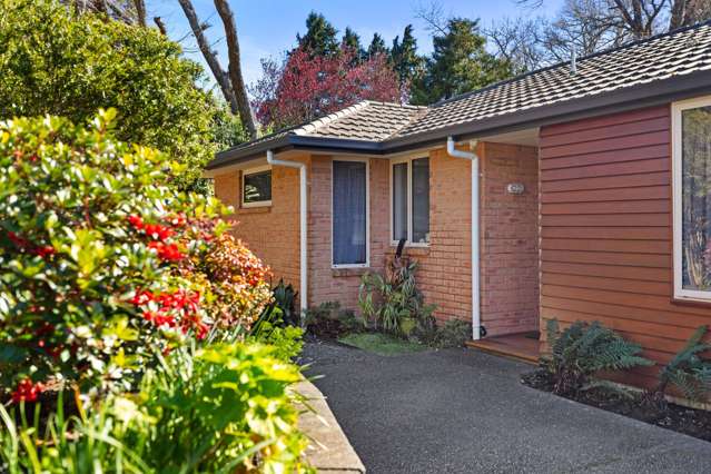 11/17 Simmonds Grove Greerton_3