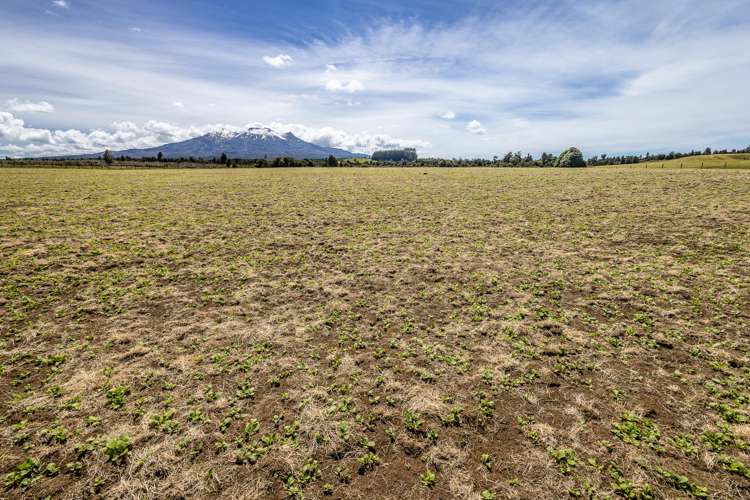 Lot 13 Matapuna Road Horopito_7