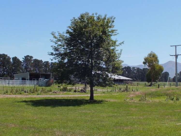 55 Costellos Road Hawarden_7