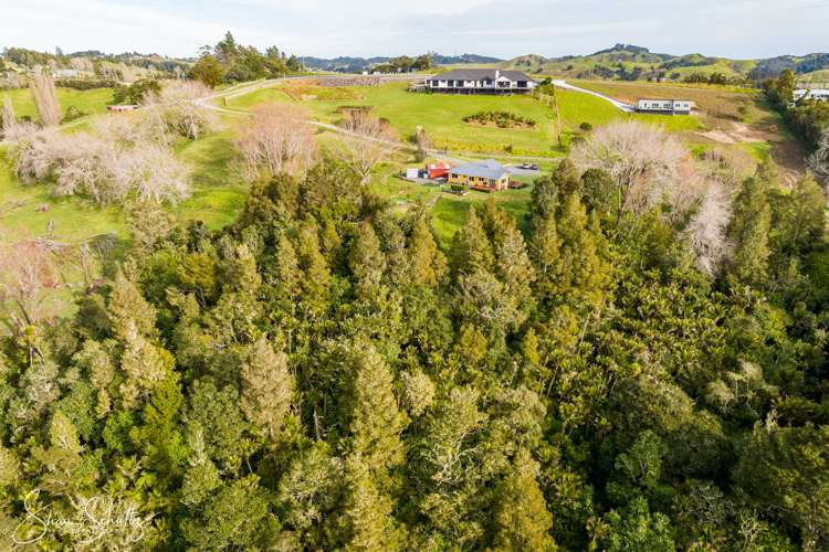 16 Nikau Lane Maungaturoto_58