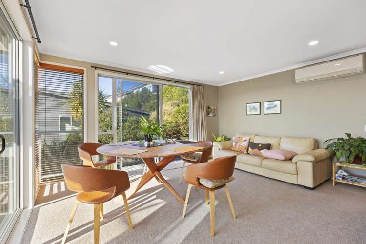 23d Violet Street Raglan_10