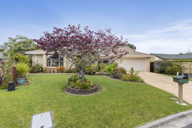 37 Motutapu Avenue Manly_13