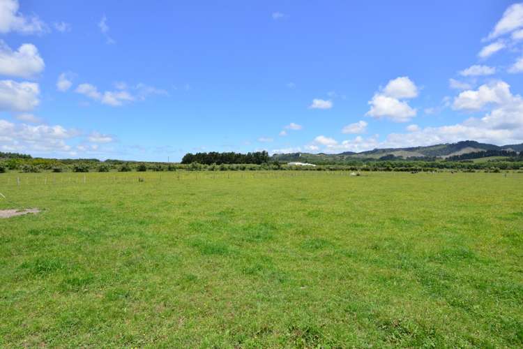 464 Woodcocks Road Warkworth_15