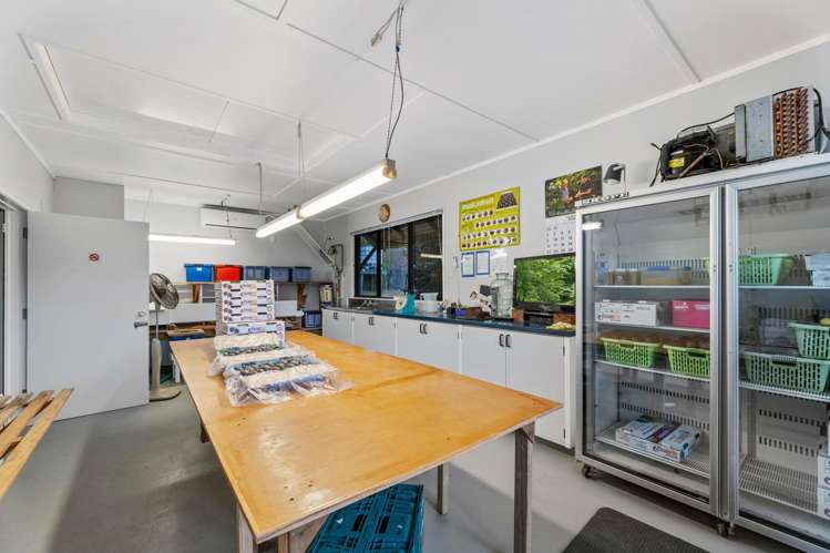 241 Rea Road Katikati_25