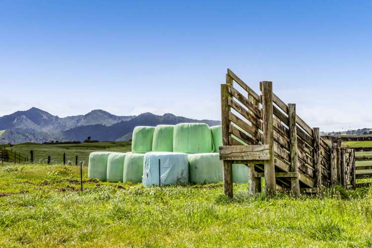 165 Oxford Road Okato_2