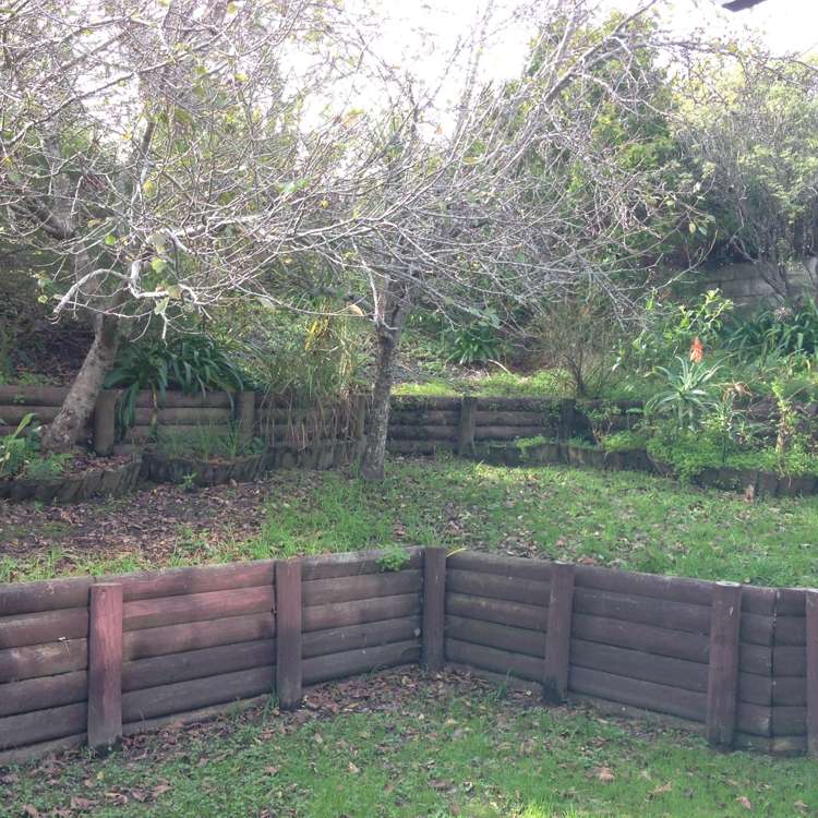 100 Ravenwood Drive Forrest Hill_15