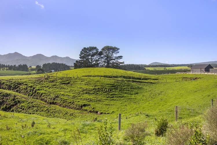 319 Dover Road Okato_6