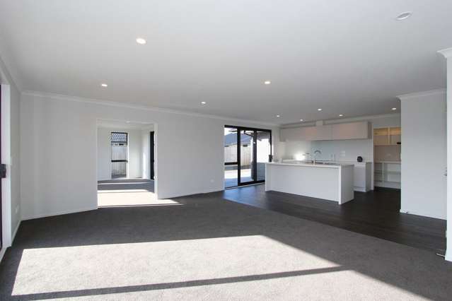 12 Loeb Place Rolleston_2