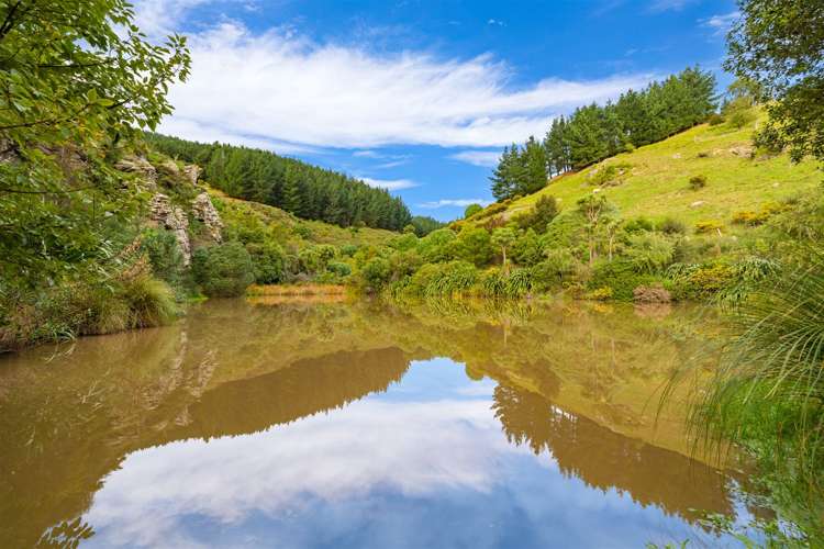 207 Cossars Road Tai Tapu_35