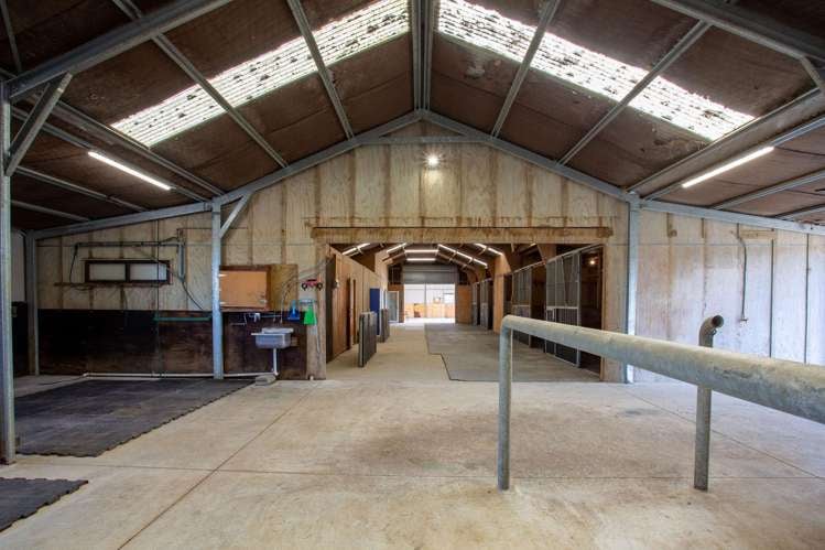 235B Tramway Road Pukekohe_7