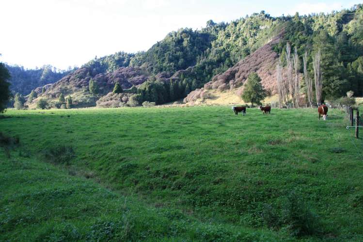 0n Mangaonga Road Ahititi_20