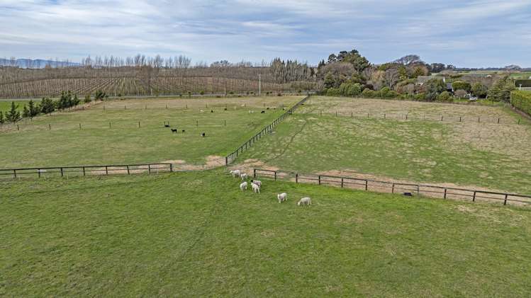 494 Lake Road South Leeston_28