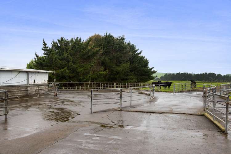 256 Lower Stuart Road Eltham_12