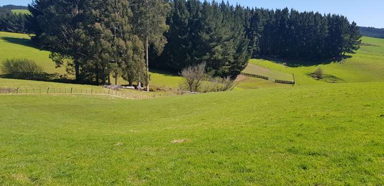 759 Adams Flat Road Balclutha_10