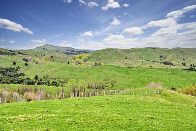 804ha of sheltered breeding country