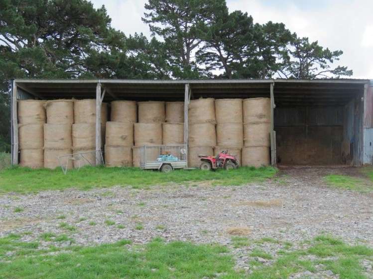 746 Top Grass Road Dannevirke_15