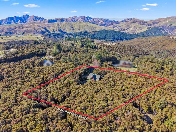 64 Tinline Terrace Mt Lyford_22