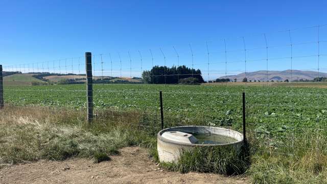 391a Otama Road Gore Surrounds_2