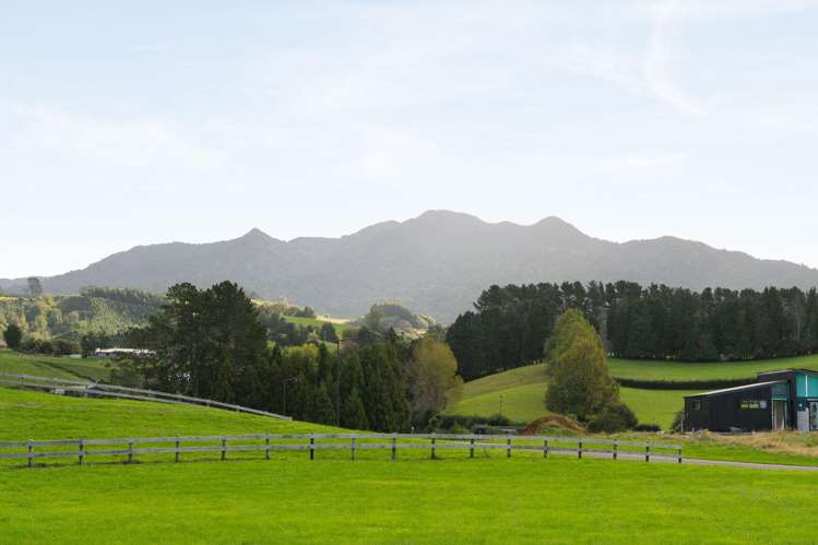 47 Taraire Road Pirongia_5