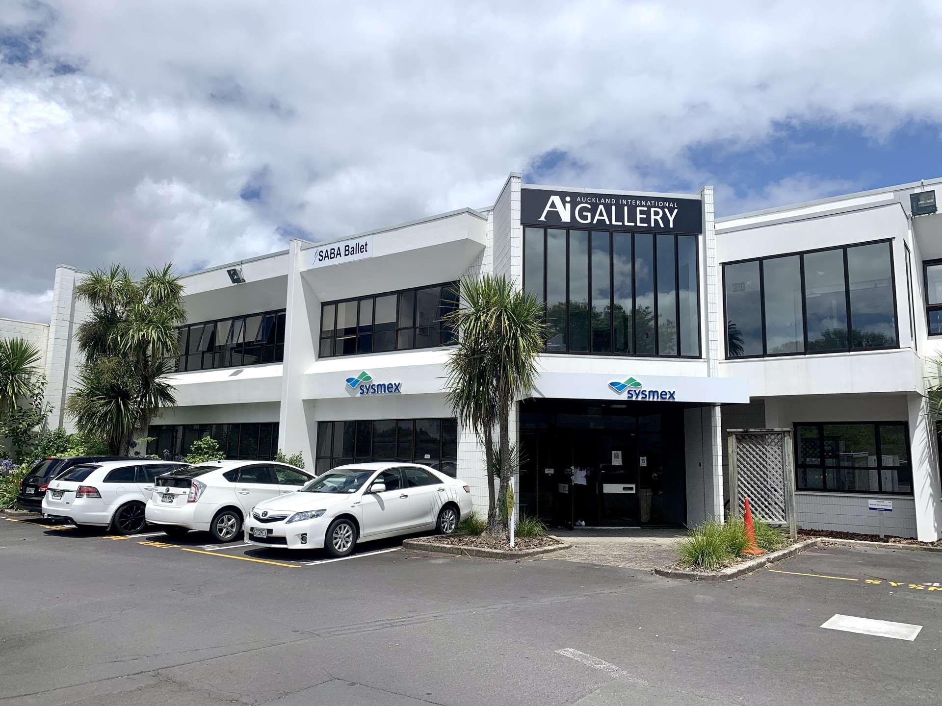 384 Manukau Road Epsom_0