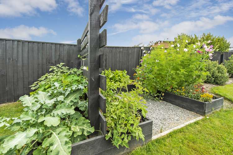 67 Manse Road Leeston_23