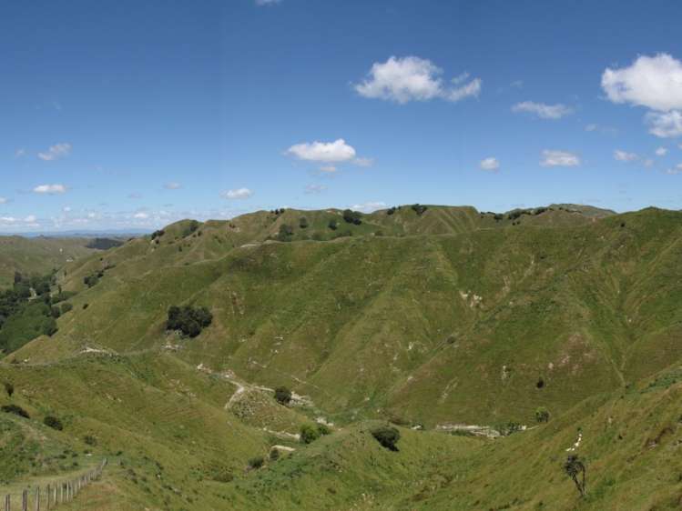 1168 Manui Road Mangaweka_6