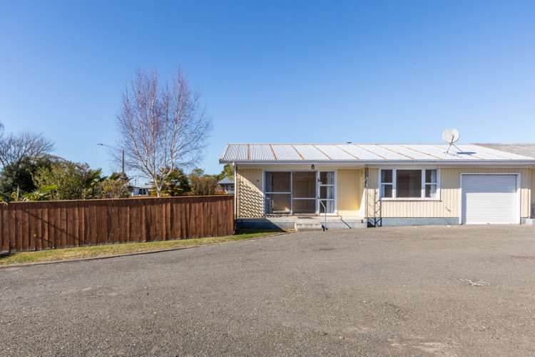 35 Bristol Street Tamatea_16