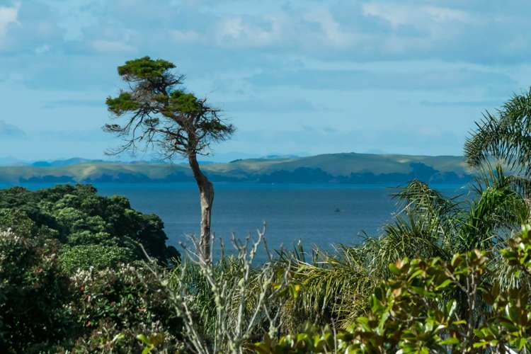 7 Rewi Street Torbay_9