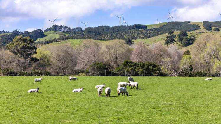534 - 734 Fitzherbert Road East Aokautere_12