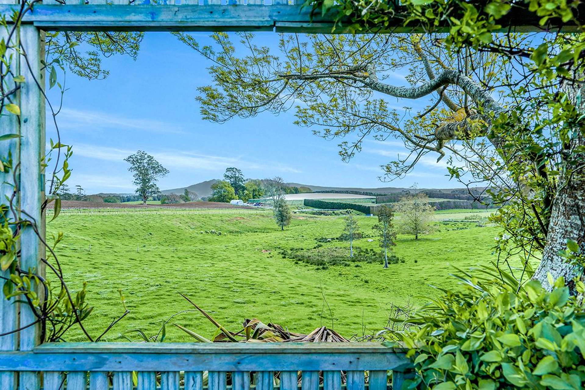 120 Mcgregor Road Ohaupo_0