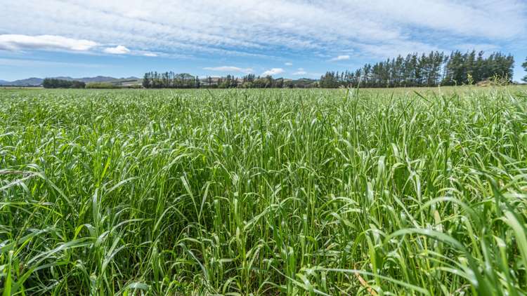 69 High Street Hawarden_7