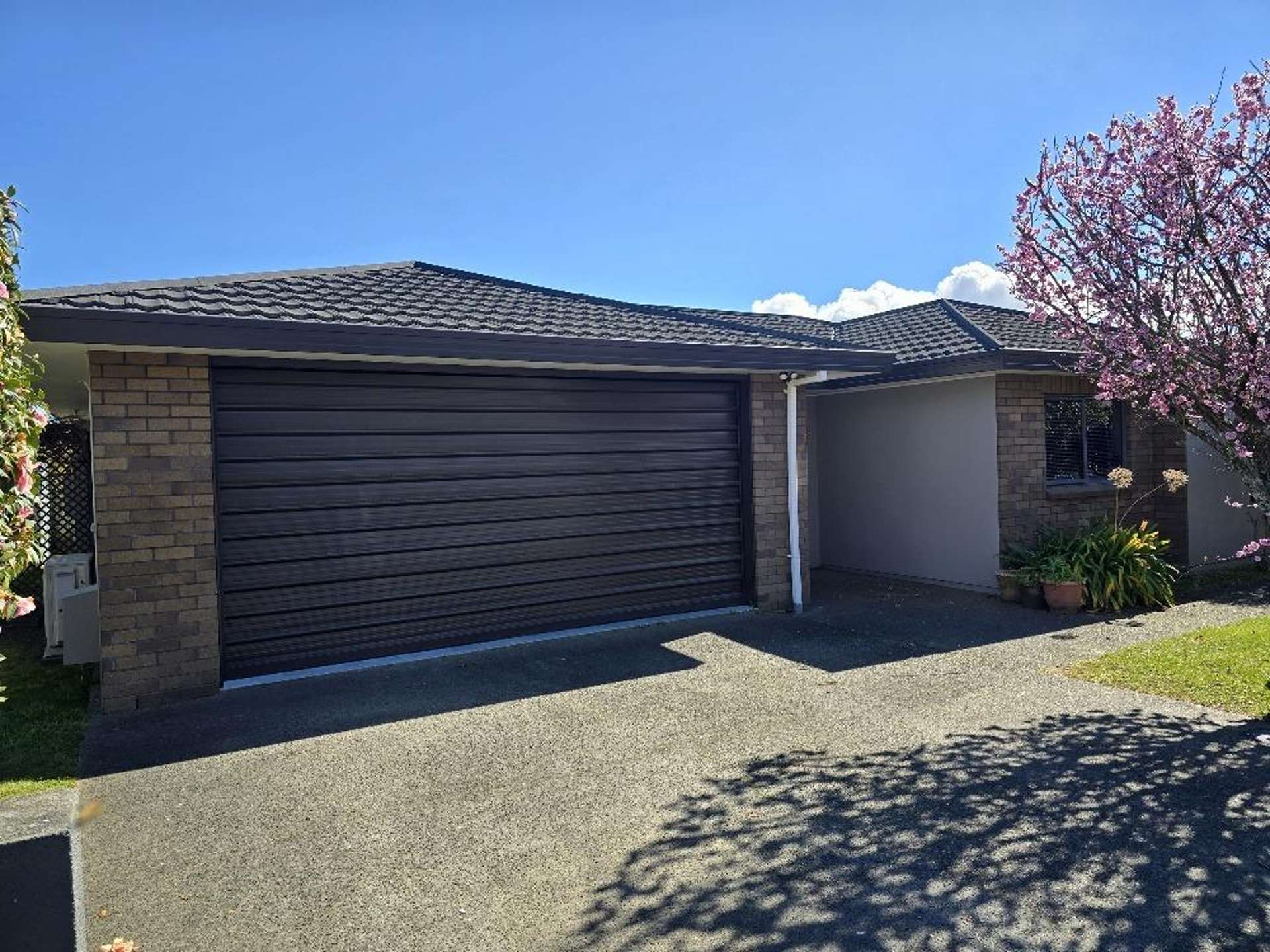 50 Arrowsmith Avenue 1140_0