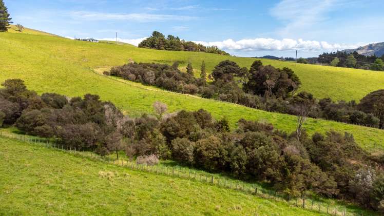 608b West Coast Road Makarau_6