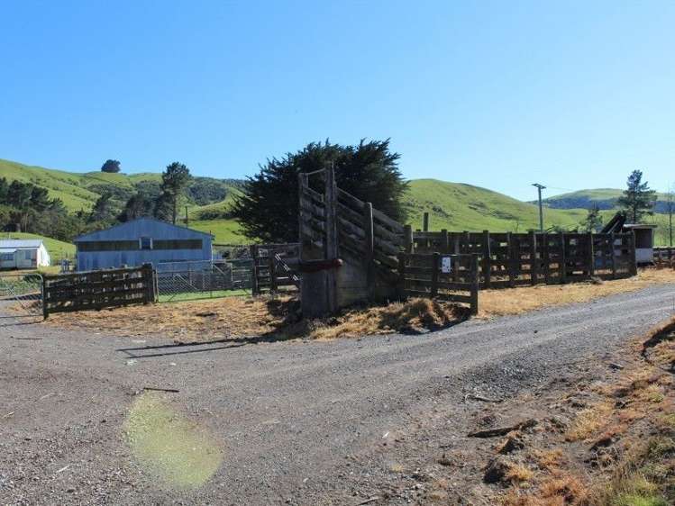 858 Oporae Road Weber_18