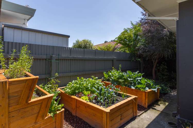 61a Muller Road Blenheim Central_15