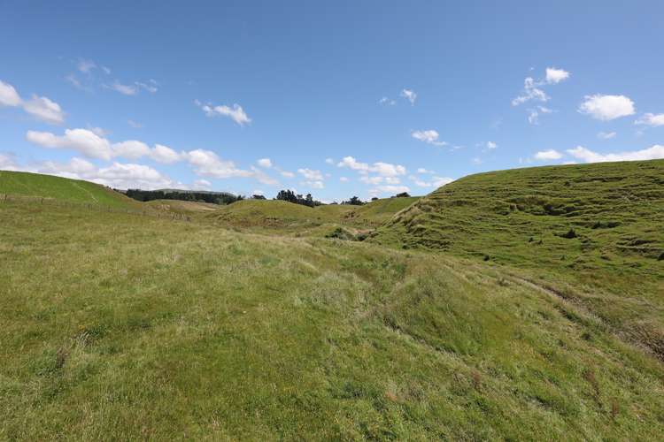 50 Highland View Drive Tokomaru_5