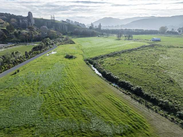 342 Hill Road Eskdale_4