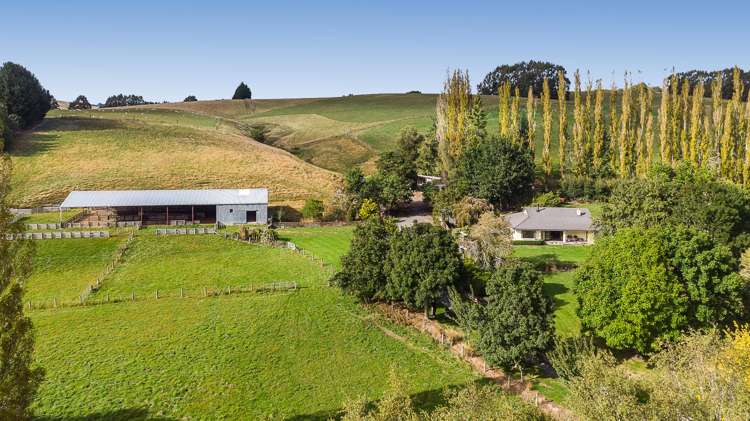 83 Waitahuna Cemetery Road Waitahuna_5