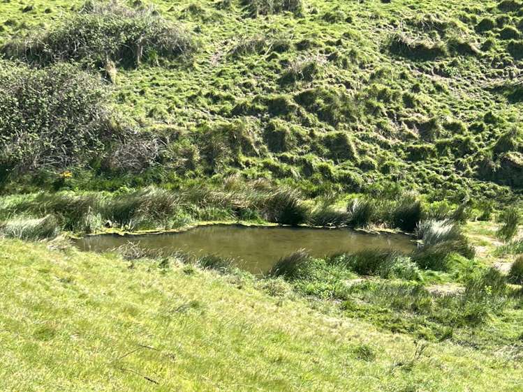 135 Iverachs Road Waiau_6