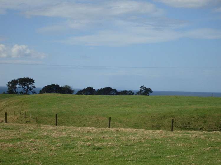 34d Hauone Road Pikowai_7