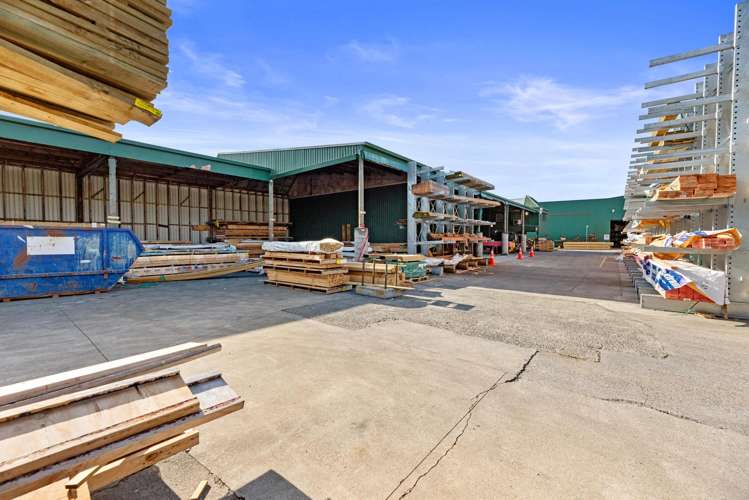 14 Birch Avenue Tauranga_8