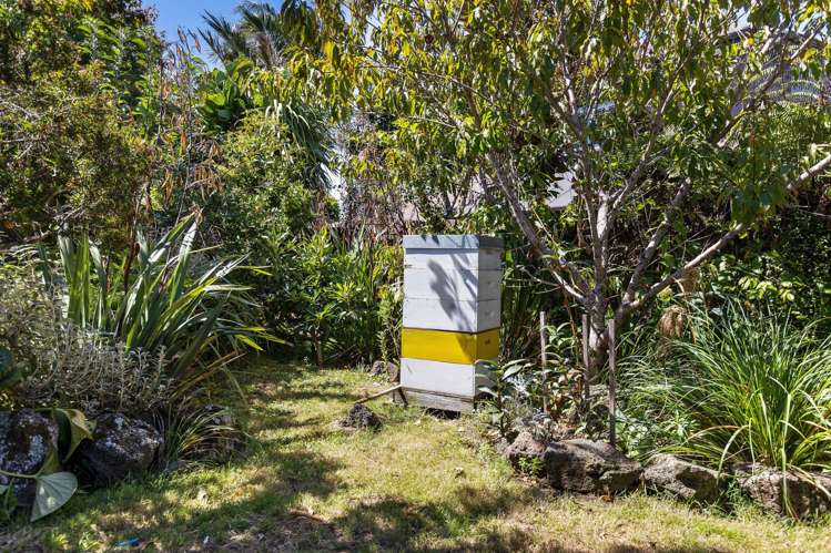 93 Namata Road One Tree Hill_17