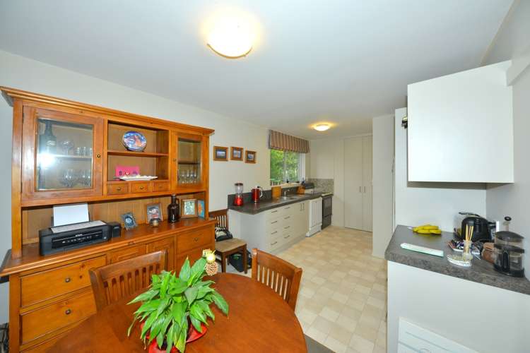 1 Florida Street Hornby_4