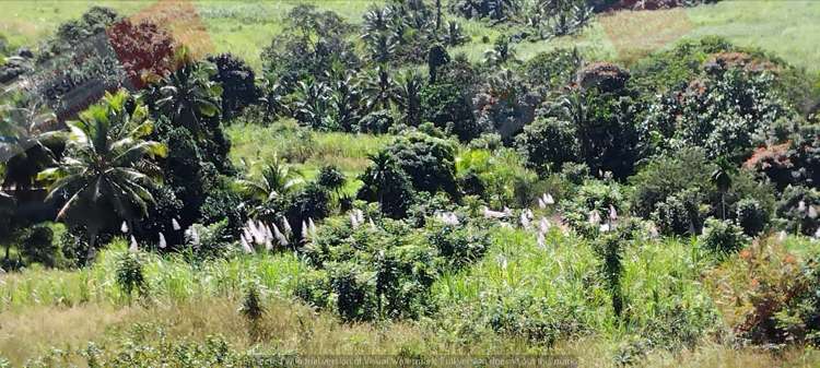 Address withheld Labasa_12